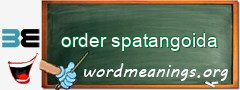 WordMeaning blackboard for order spatangoida